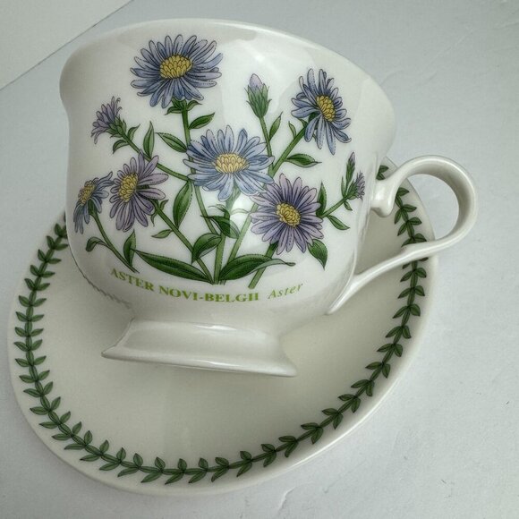 PORTMEIRION Botanic Garden Teacup & Sauser Collection "Aster"